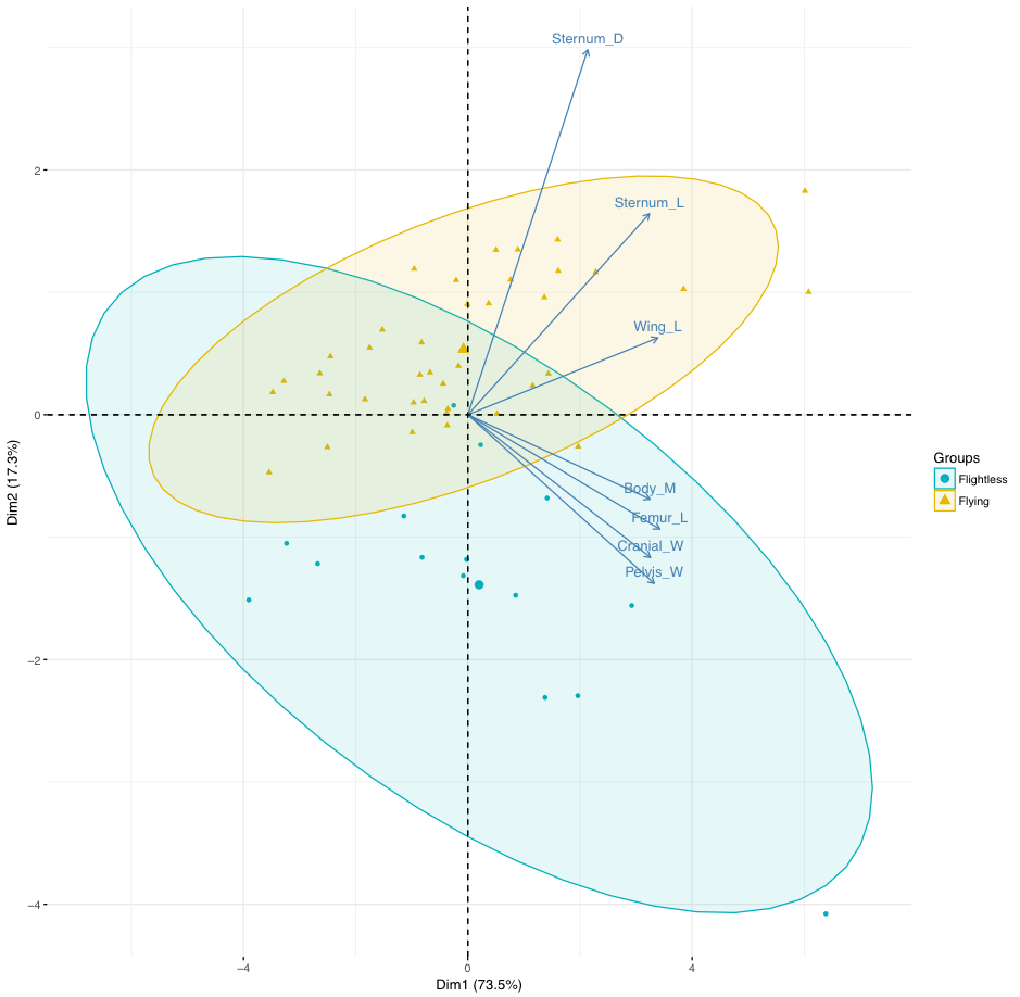 flightless/flying plot